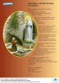 Icon of Preghiera a Nostra Signora di Lourdes