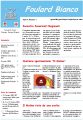 Icon of Newsletter-11