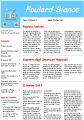 Icon of Newsletter-14
