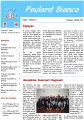 Icon of Newsletter-21