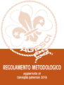 Icon of CG Regolamento metodologico